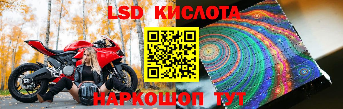 Псилоцибиновые грибы Отрадное