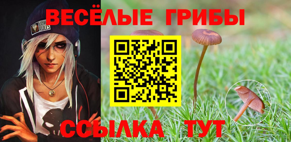 Галлюциногенные грибы Magic Shrooms Отрадное