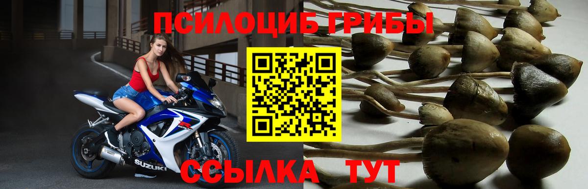 Отрадное  даркнет сайт  Галлюциногенные грибы прущие грибы  Вход с VPN  Галлюциногенные грибы Magic Shrooms 
